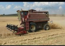 Combine Harvesters Case IH 1480