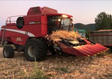 Combine Harvesters Laverda 296 LCS LS