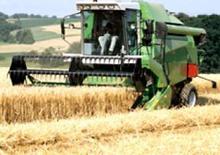 Combine Harvesters DEUTZ-FAHR 5445 H