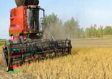 Combine harvesters cutterbars Geringhoff Flex 30