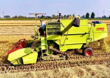 Combine Harvesters Claas Dominator 80