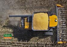 Combine harvesters maize header Valtra PM515