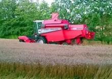Combine Harvesters Massey Ferguson MF 2045