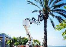 Crawler Articulating Boom Lifts Easy Lift R190