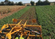 Cultivators Agrisem Biomulch 9.00