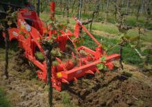 Cultivators Maschio Pinocchio 130/3