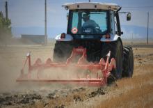 Cultivators Maschio Pinocchio 250/5
