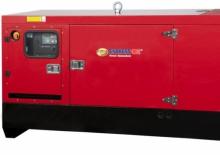 Diesel Power Generators Endress ESE 165 VW/AS