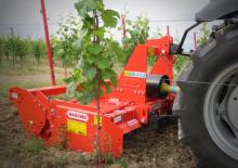 Elektrikli tırmıklar Maschio Delfino 1800