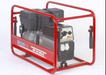 Gasoline Power Generators Endress ESE 804 DBS/S