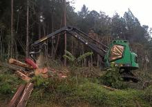 Harvesters Neuson Forest 183HVT