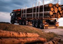 Lowbed Trailers Doll LOGO 14