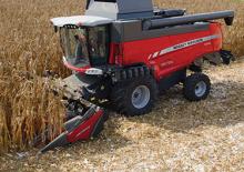 Combine harvesters maize pickers Massey Ferguson CF 675F