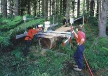 Mobil testereler Peterson ATS 8