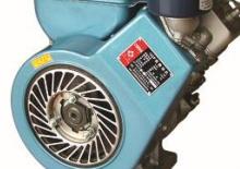 Motorlar Jiangsu X165F