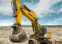 Paletli ekskavatörler Liebherr R 976 Litronic