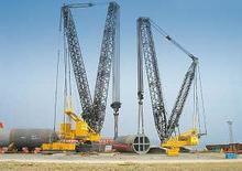 Paletli vinçler - kafes patlaması Liebherr LR 11350