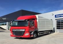 Rigid Chassis DAF CF 300 FAT DC