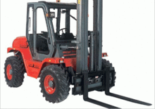 Rough terrain forkliftler Agrimac TH 250