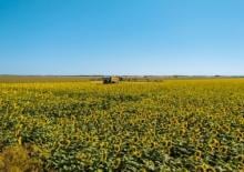 Self-propelled field sprayers Amazone Pantera 4502 H (30/15)
