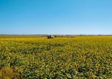 Self-propelled field sprayers Amazone Pantera 4502 H (36)
