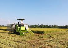 Square balers Zoomlion 9YF-1900FA