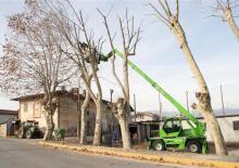 Rotating telehandlers Merlo Roto 38.16 S