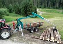 Timber loading cranes Pfanzelt 4282