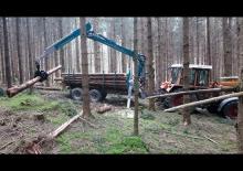 Timber loading cranes Pfanzelt 5287