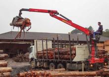 Timber loading cranes Epsilon C 80 L 77