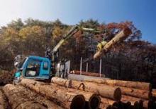 Timber loading cranes Loglift 61Z 71 