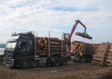Timber loading cranes Epsilon M 110 L 80