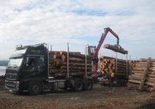 Timber loading cranes Epsilon M 110 Z 78