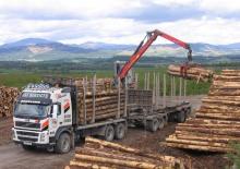 Timber loading cranes Epsilon Q 150 Z 95 TR