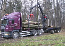 Timber loading cranes Epsilon Q 150 Z 96
