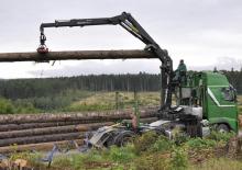 Timber loading cranes Epsilon S 290 L 87 HPLS