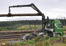 Timber loading cranes Epsilon S 290 Z 96 HPLS