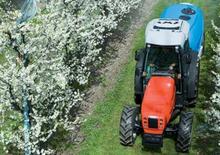 Traktörler 4wd SAME Frutteto³ 80 DT