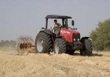 Traktörler 4wd Massey Ferguson MF 4455