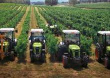 Traktörler 4wd Claas Nectis 267 VL