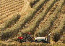 Traktörler 4wd Case IH Quantum 80 CL Rops