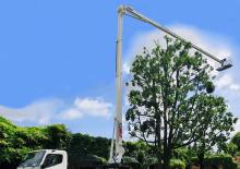 Truck Mounted Telescopic Boom Lifts CELA DT37