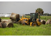 Wheel Loaders Caterpillar 903D