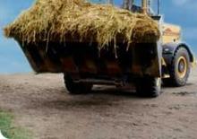 Wheel Loaders Sveloader L 12