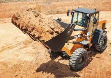 Wheel Loaders Case W20F