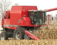 ポケットトランプ　Red The Red Beast Is Captured Again - Killing Fields - 1998