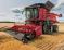 3016 GRAIN