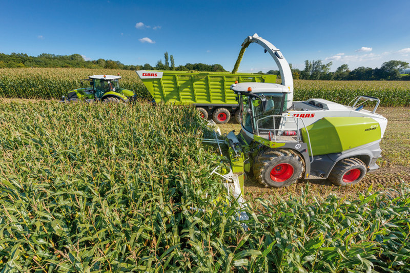 Claas jaguar 830