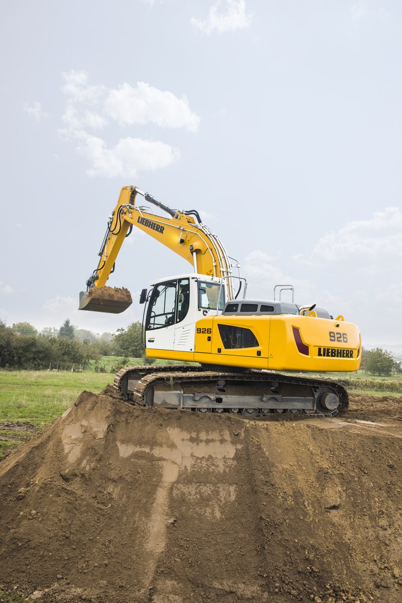 りり Ninja ZX-4RRと パシャリ🤳✨ #Kawasaki #カワサキ