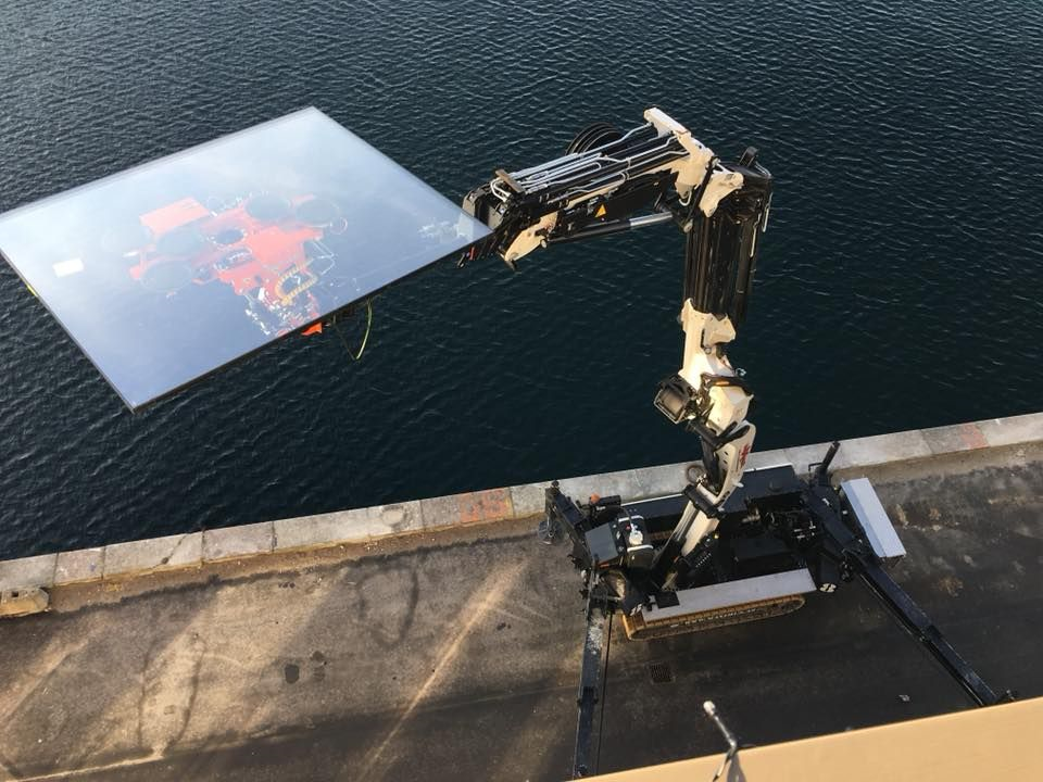 エラシコページ　26,0㎝ MJ-Five-EWC/AC-SP20 FT/E #11512 | Deviser ｜株式会社ディ